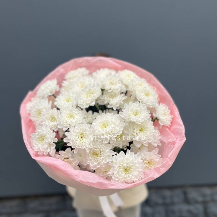  5 хризантем  с доставкой в Каменске-Уральском